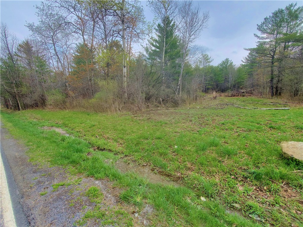 0 Beach Road Rock Stream, NY 14878 - Photo 31 of 42