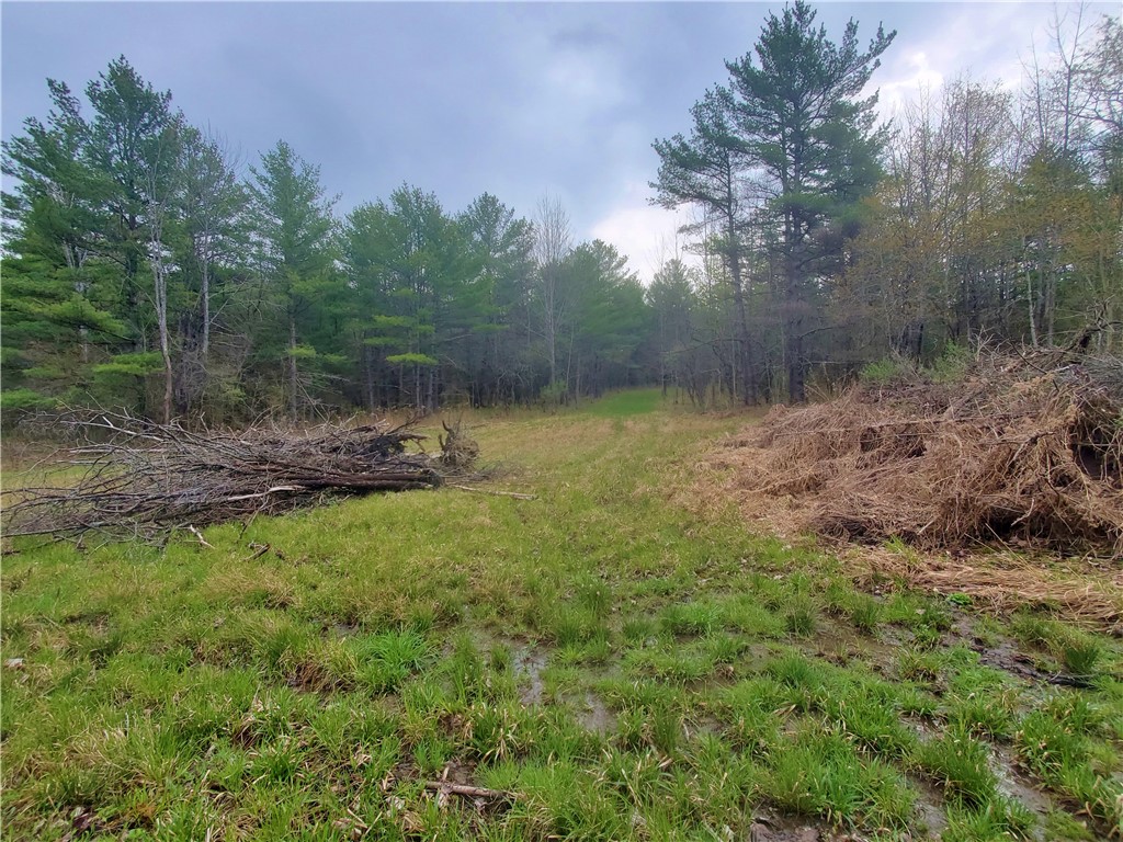 0 Beach Road Rock Stream, NY 14878 - Photo 32 of 42