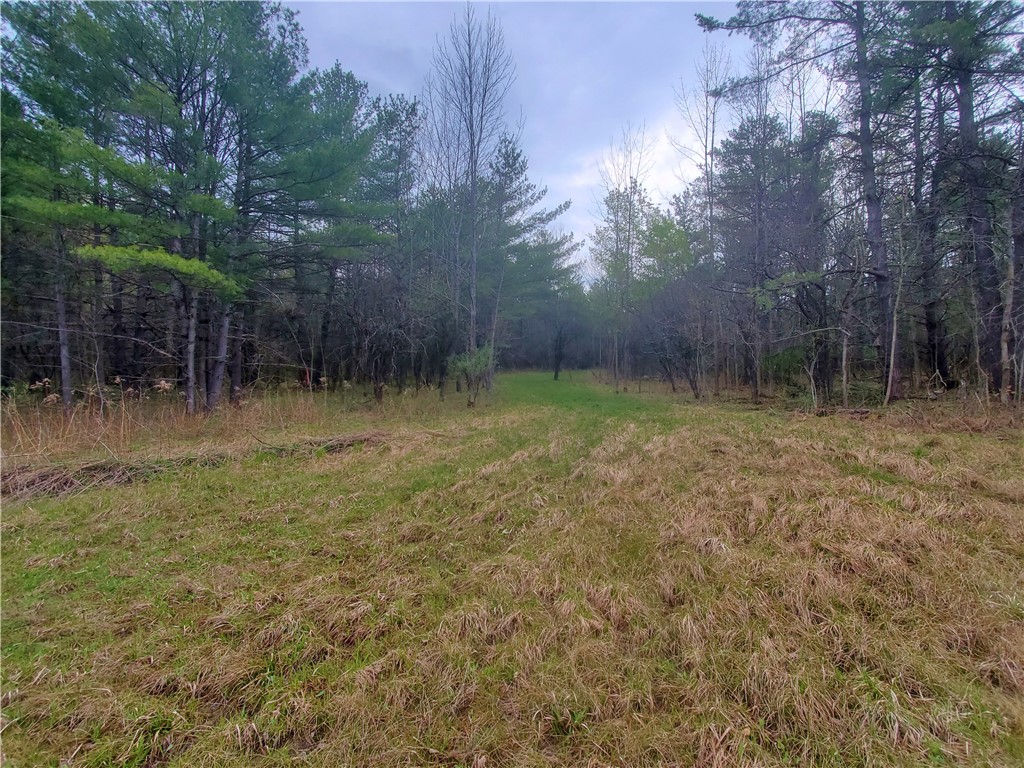 0 Beach Road Rock Stream, NY 14878 - Photo 33 of 42