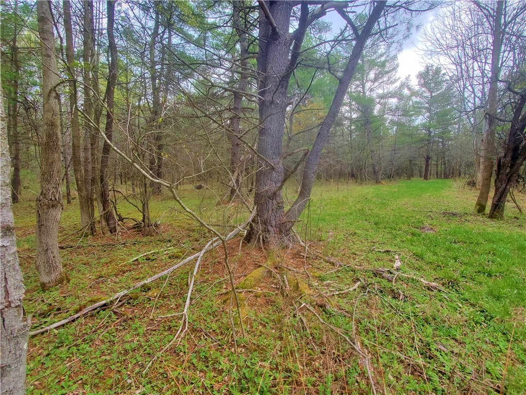 0 Beach Road Rock Stream, NY 14878 - Photo 34 of 42