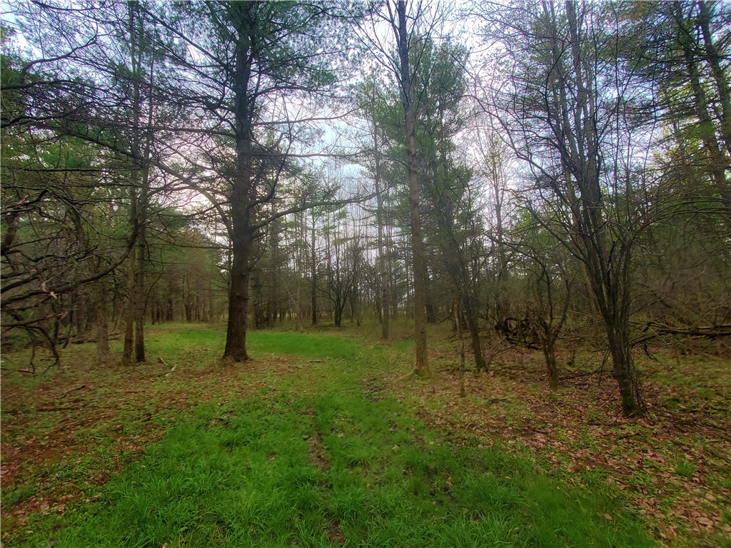 0 Beach Road Rock Stream, NY 14878 - Photo 35 of 42