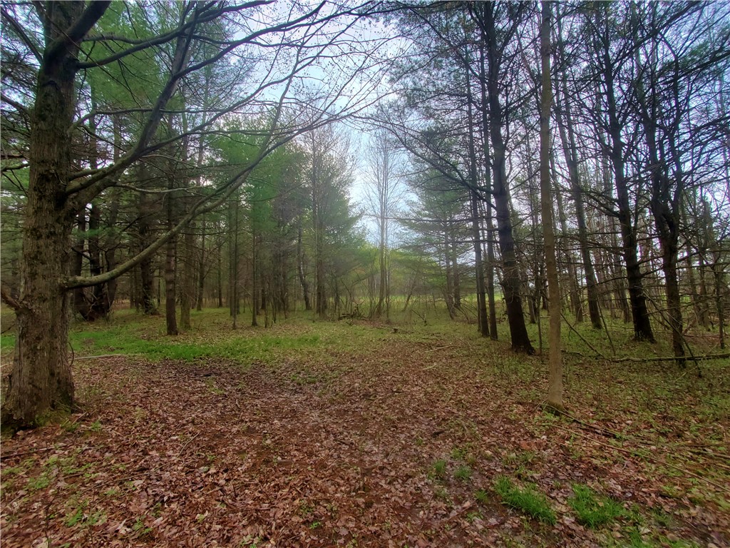 0 Beach Road Rock Stream, NY 14878 - Photo 36 of 42