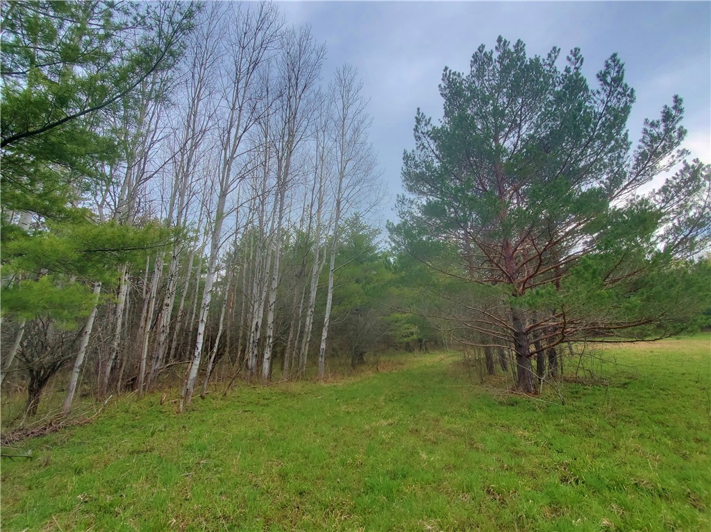 0 Beach Road Rock Stream, NY 14878 - Photo 38 of 42