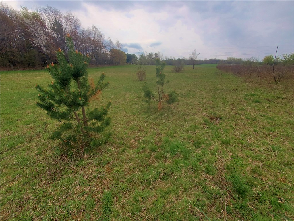 0 Beach Road Rock Stream, NY 14878 - Photo 41 of 42