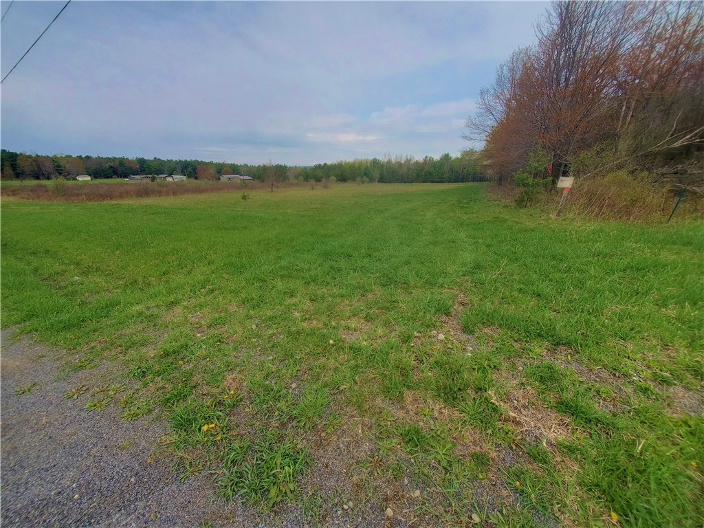 0 Beach Road Rock Stream, NY 14878 - Photo 5 of 42