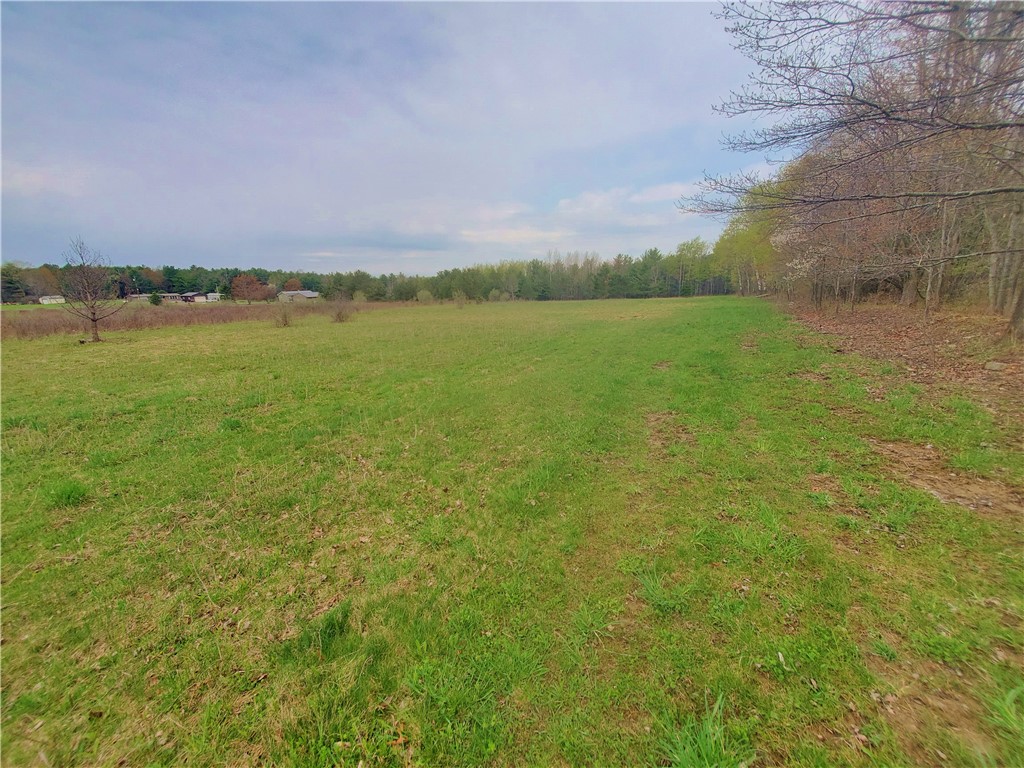 0 Beach Road Rock Stream, NY 14878 - Photo 7 of 42