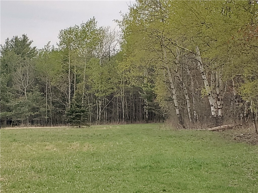 0 Beach Road Rock Stream, NY 14878 - Photo 9 of 42