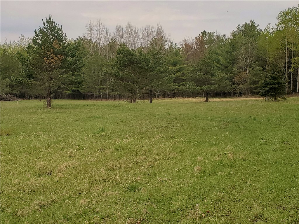 0 Beach Road Rock Stream, NY 14878 - Photo 10 of 42