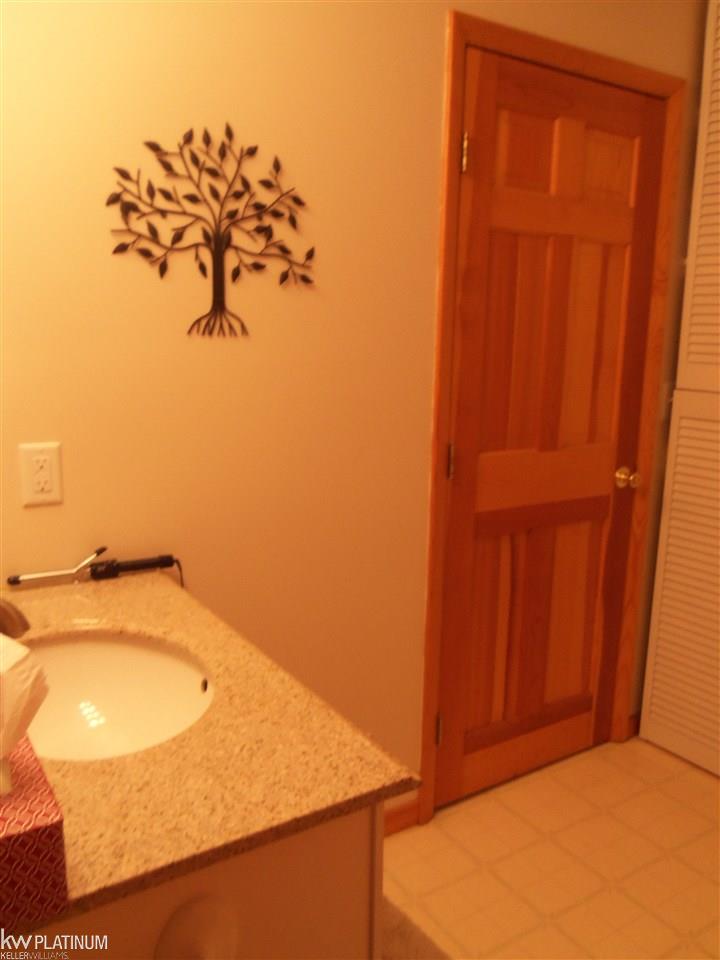 5778 McIntyre Road North Street, MI 48049 - Photo 21 of 31