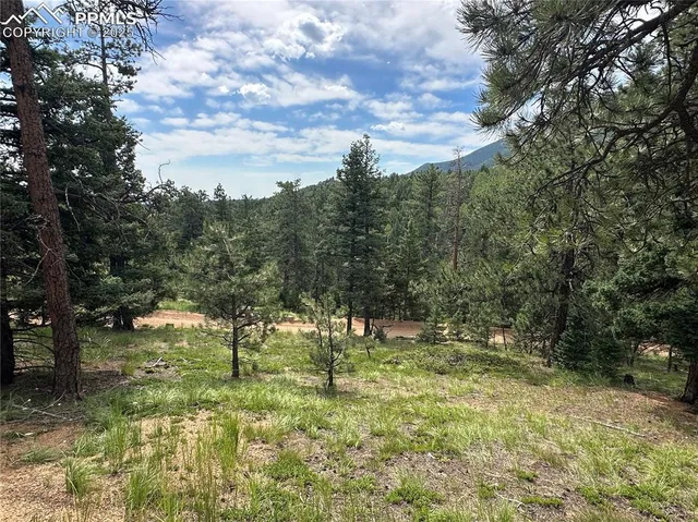 a view of outdoor space