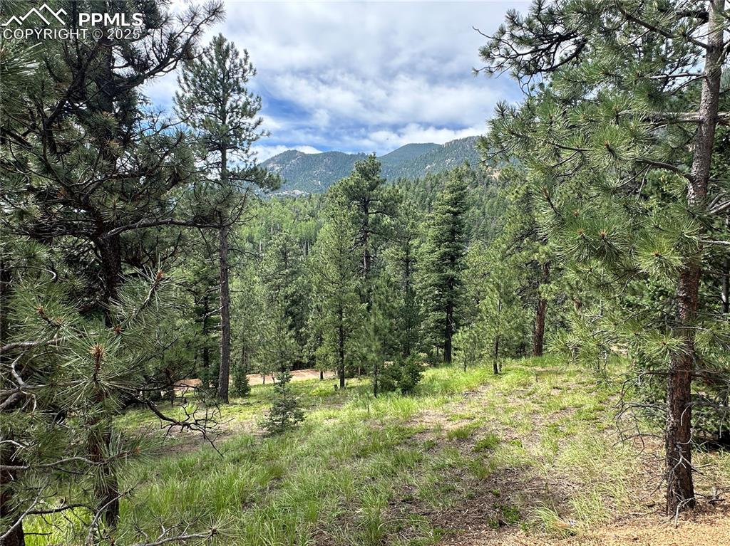 116 Happy Valley Road Manitou Springs, CO 80829 - Photo 13 of 25 a view of a yard with plants and large trees