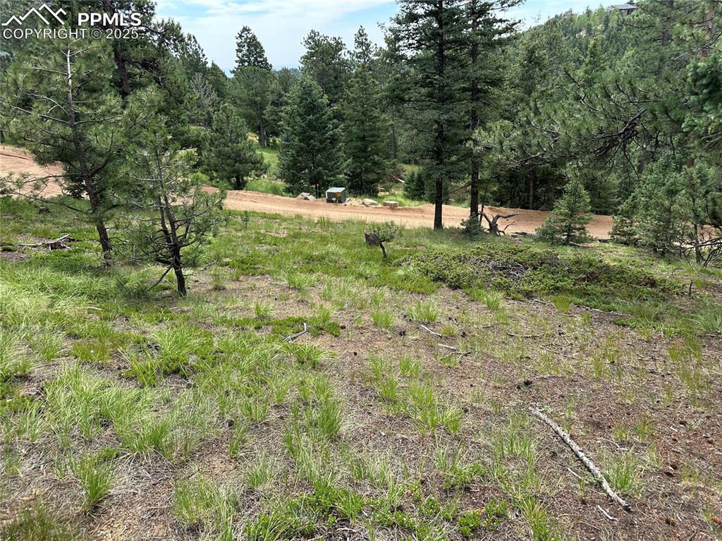 116 Happy Valley Road Manitou Springs, CO 80829 - Photo 15 of 25 a view of outdoor space with trees all around