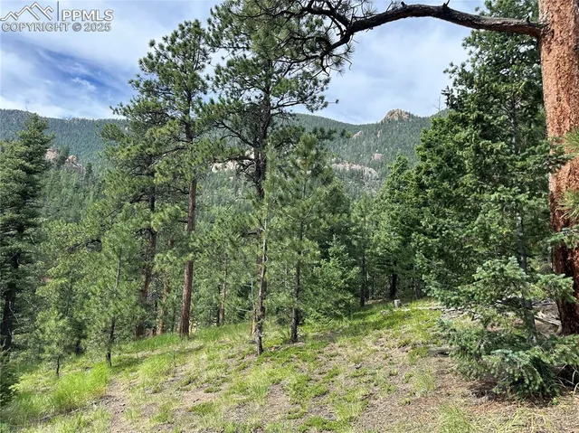 a view of outdoor space and trees all around