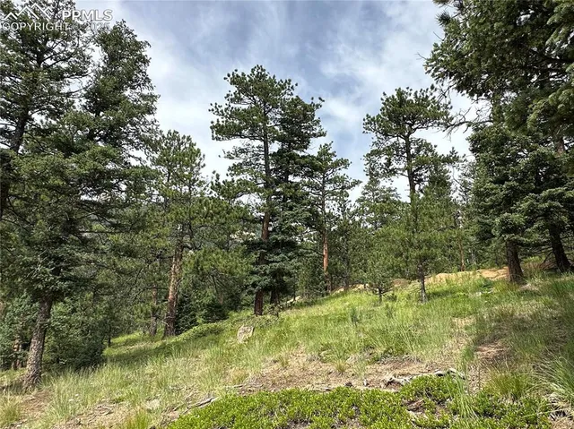 a view of a wooden floor and a lake view