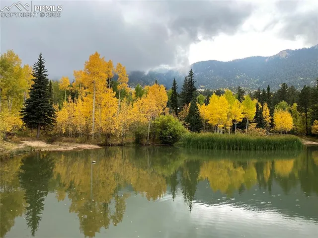 a view of a lake in middle of forest