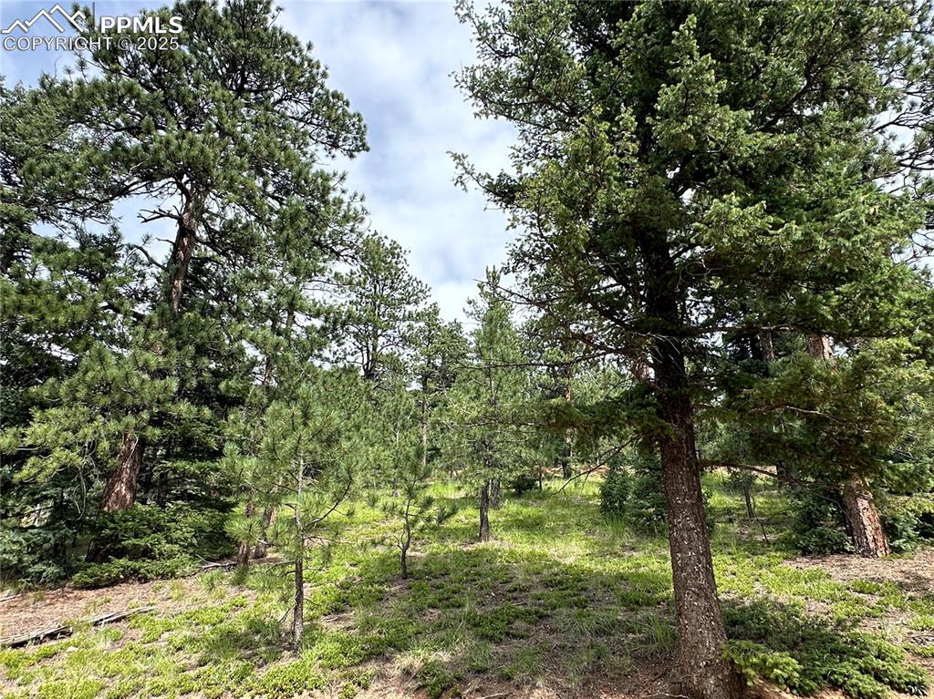 116 Happy Valley Road Manitou Springs, CO 80829 - Photo 7 of 25 a backyard of a house with lots of green space
