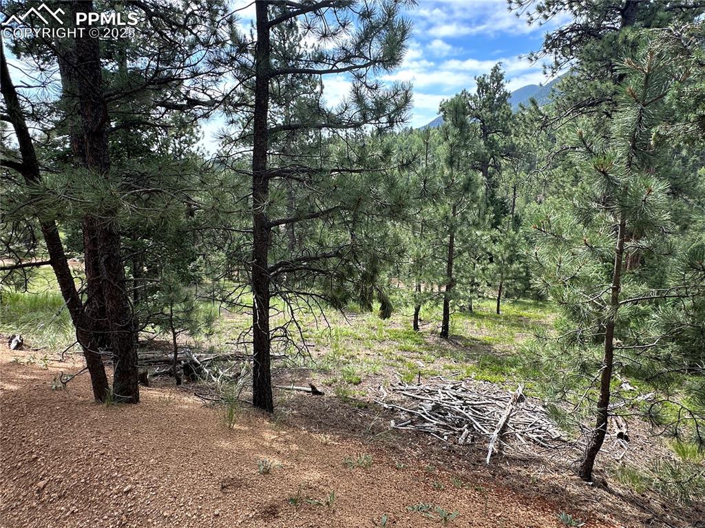 116 Happy Valley Road Manitou Springs, CO 80829 - Photo 8 of 25 a view of outdoor space with trees