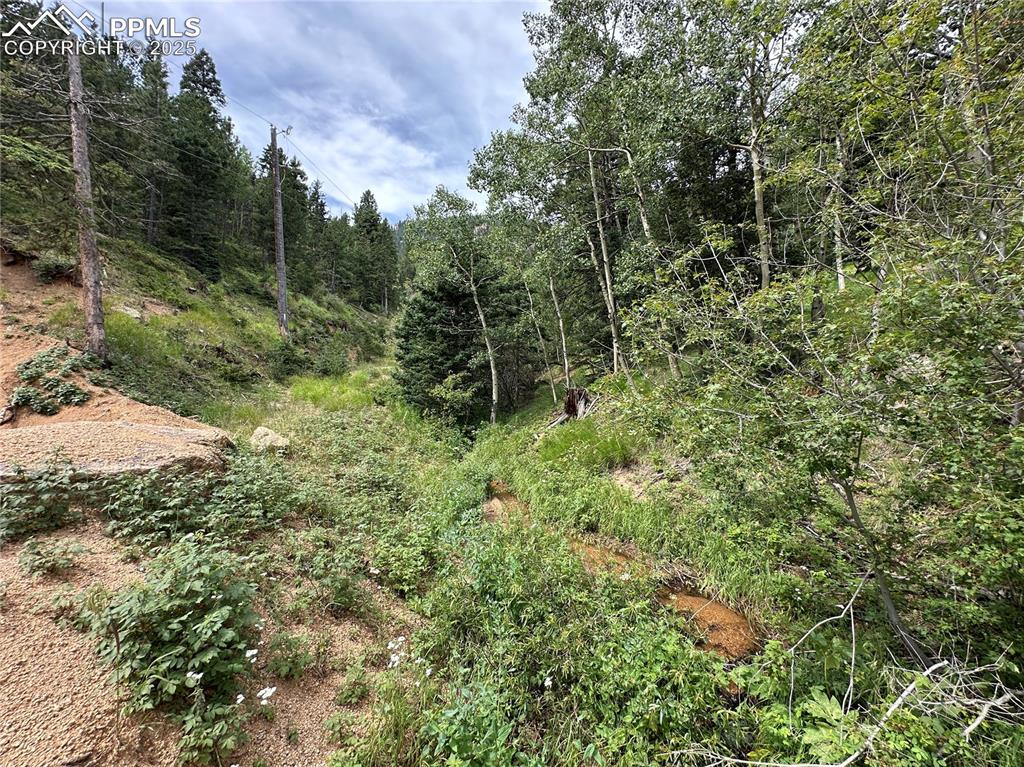 116 Happy Valley Road Manitou Springs, CO 80829 - Photo 9 of 25 a view of a forest