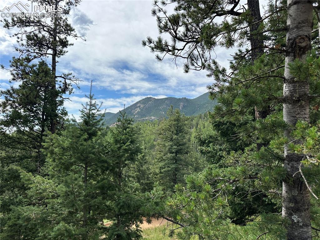 116 Happy Valley Road Manitou Springs, CO 80829 - Photo 10 of 25 a view of a city with lush green forest