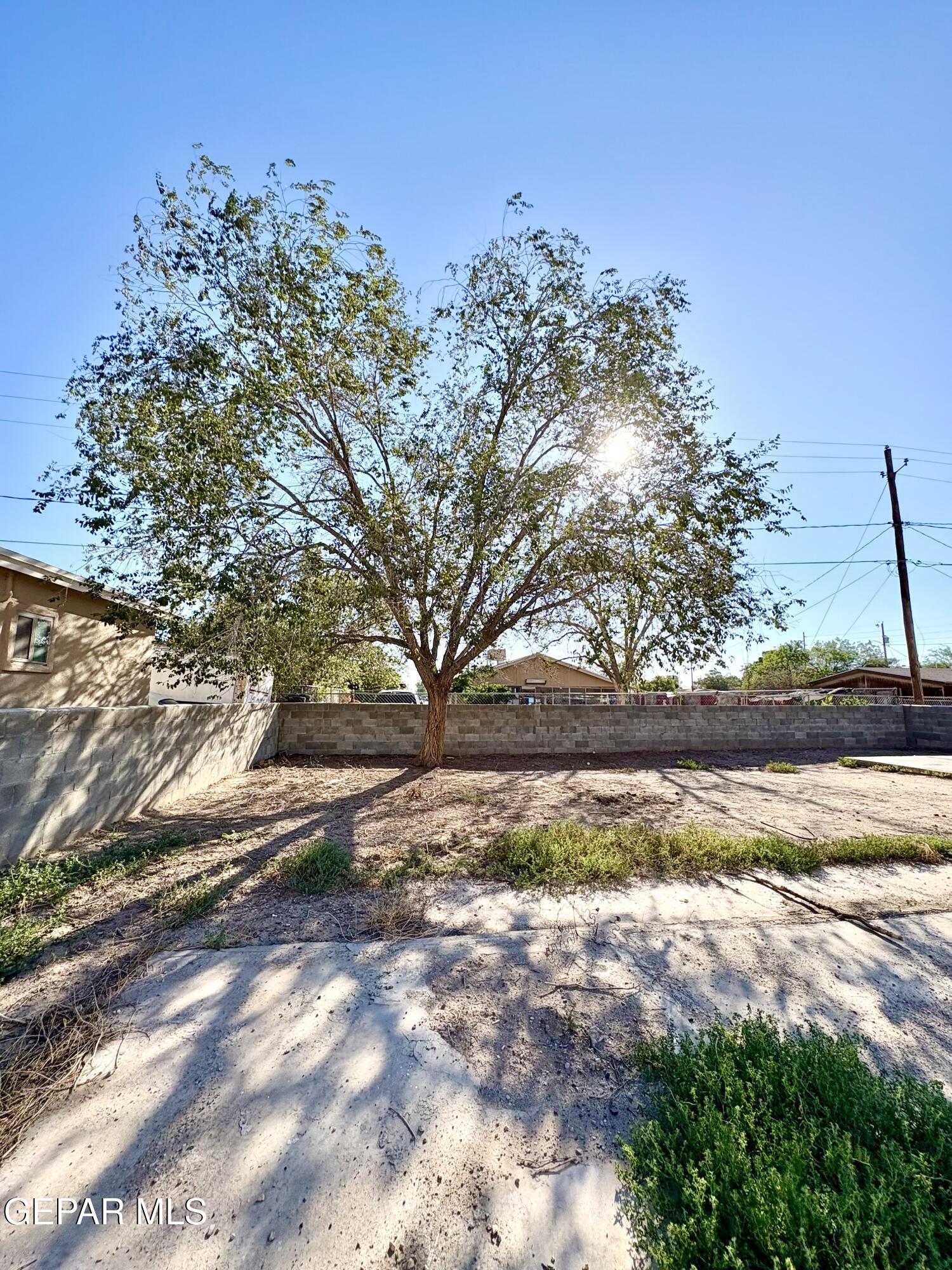 11420 Doris Road Socorro, TX 79927 - Photo 25 of 27 a view of a yard with an trees