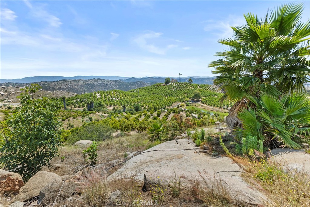 1252 Rancho Luiseno Road Escondido, CA 92026 - Photo 26 of 42