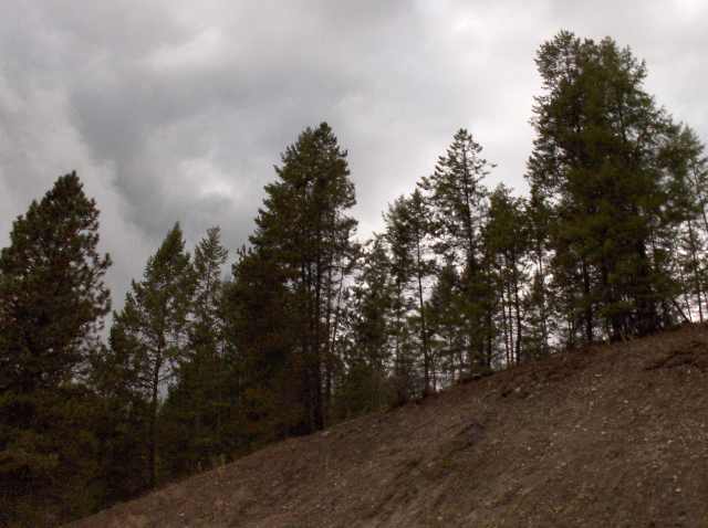 1300 Matson Road Colville, WA 99114 - Photo 3 of 9