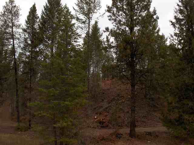 1300 Matson Road Colville, WA 99114 - Photo 8 of 9