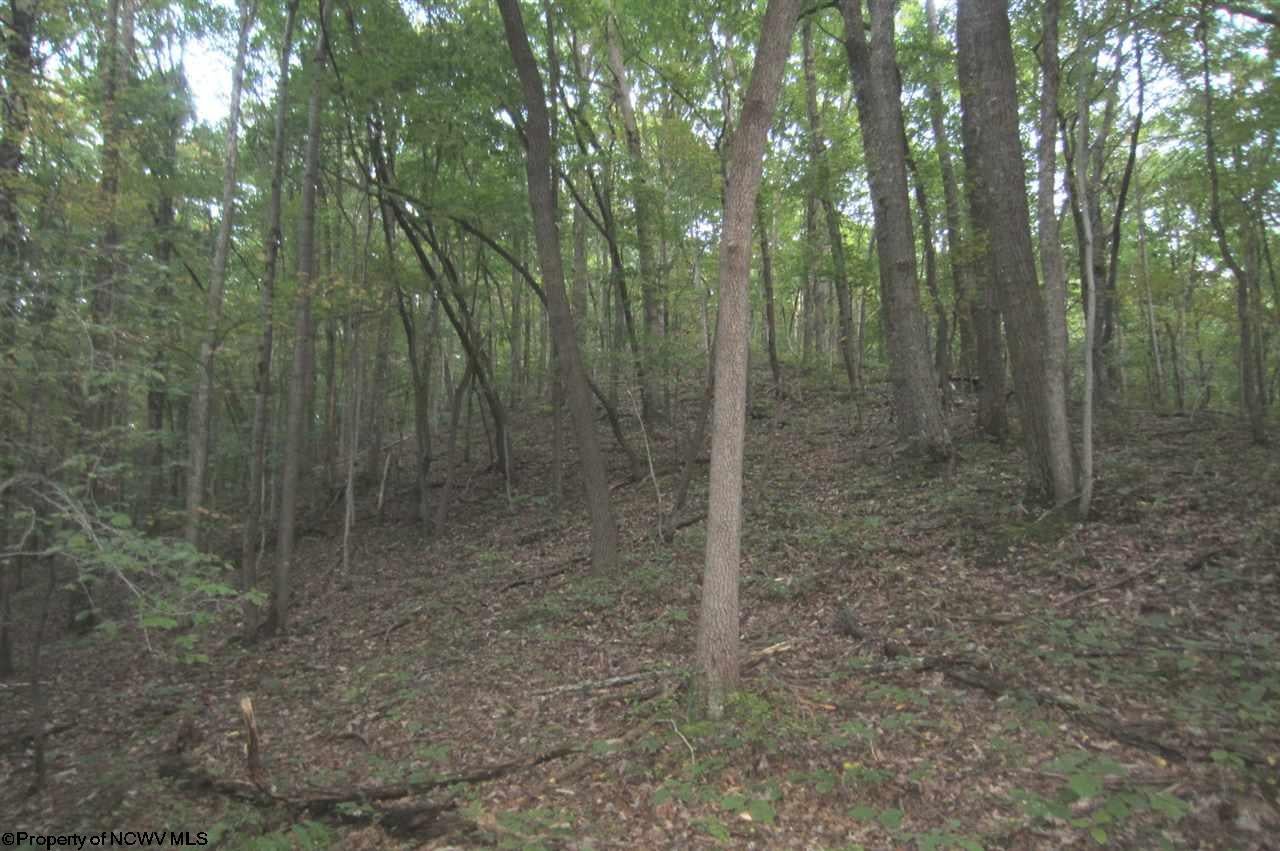 Tbd Kincheloe Road Jane Lew, WV 26378 - Photo 10 of 16 Gallery Image 10