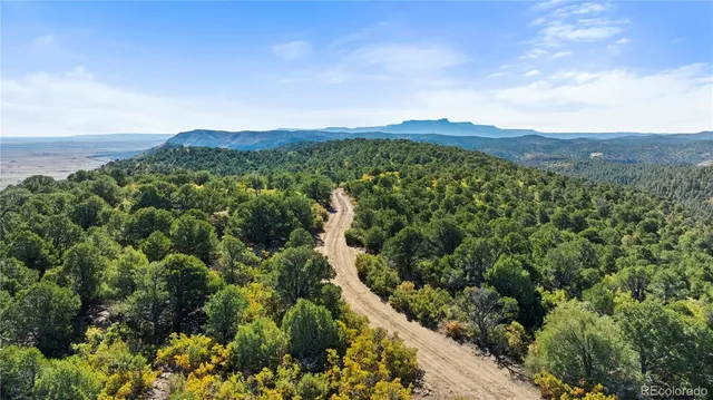 a view of a city with lush green forest