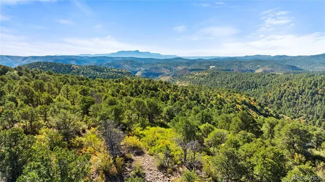 a view of a lush green field with lots of bushes