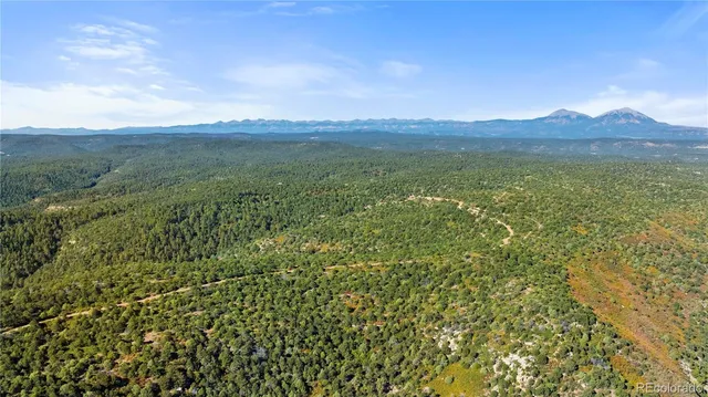 a view of a lush green outdoor space with a lake view