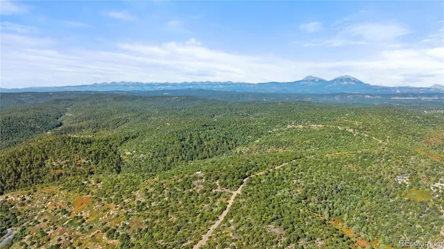 a view of a lush green field with mountains in the background