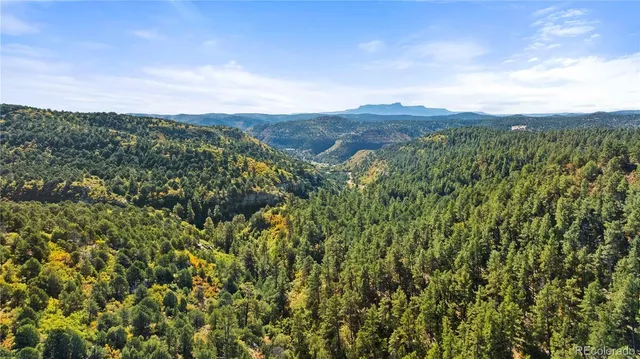 a view of a green field