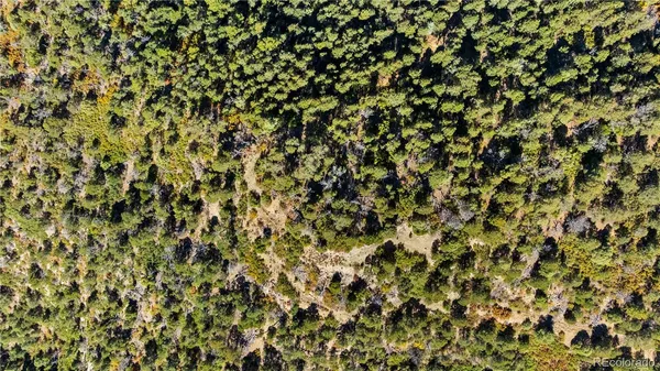 a view of a city with lush green forest
