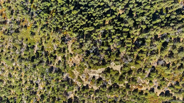 a view of a city with lush green forest
