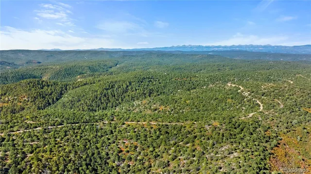 a view of a field with a tree in the background