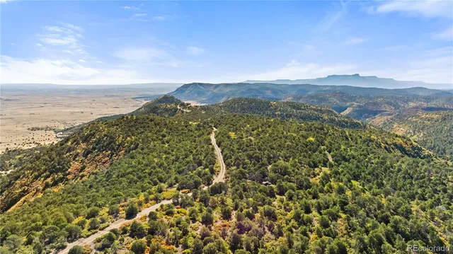 a view of a field with an ocean