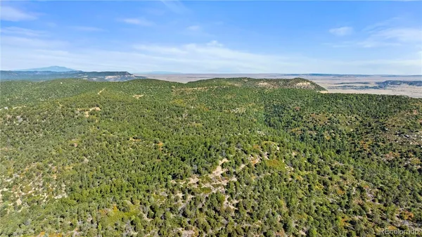 a view of a city with lush green forest