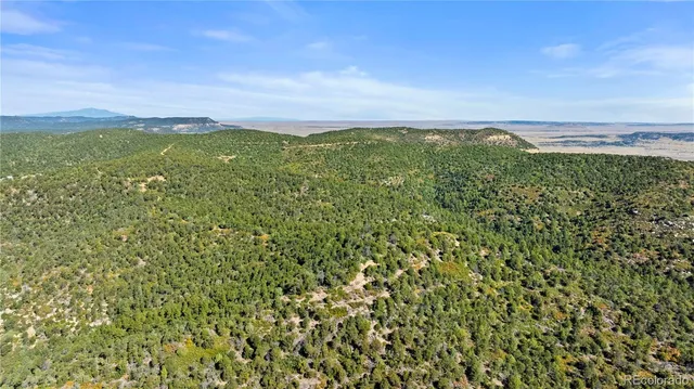 a view of a city with lush green forest