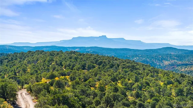 a view of a lush green hillside and a houses