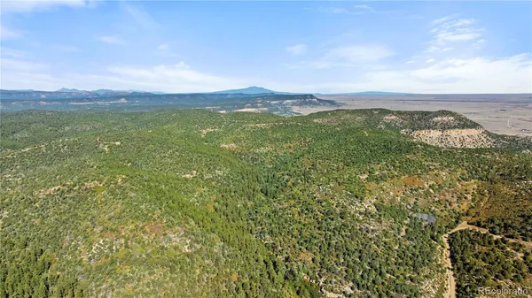 a view of a mountain in the distance in a field