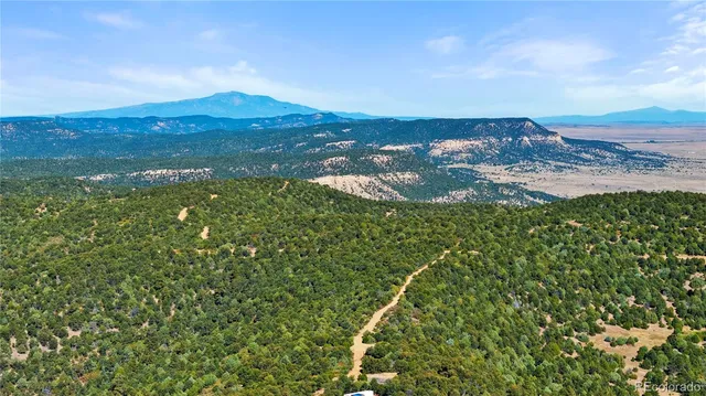 a view of a field with an ocean