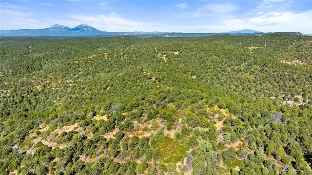 a view of an mountain from a yard