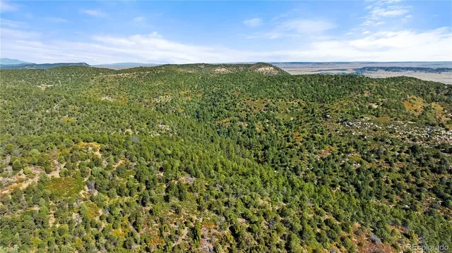 $320,000 | Lots L M N O Lots L M N O Tollerburg Road, Trinidad, CO 81082