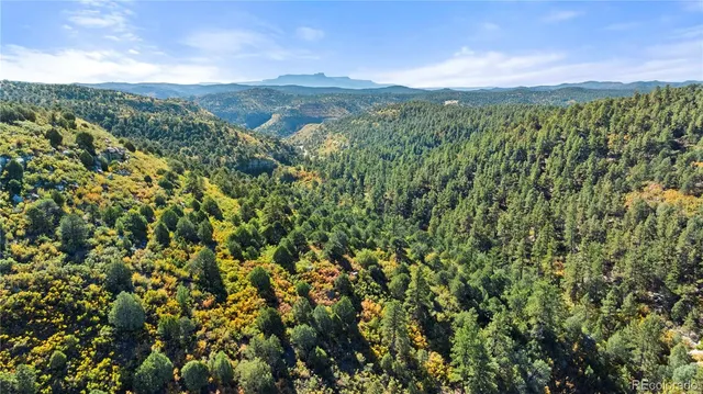 a view of a city with lush green forest