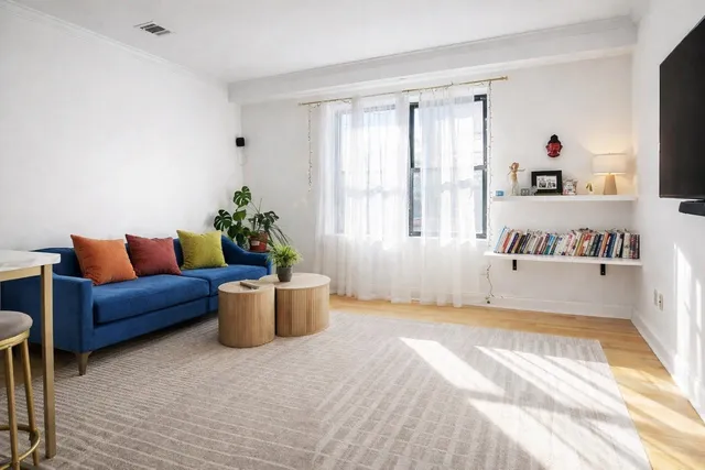 a living room with furniture and a potted plant