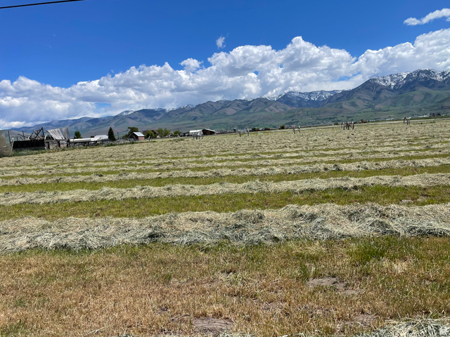 750 North Main Street Lewiston, UT 84320 - Photo 6 of 9 Expansive agricultural land featuring cut hay rows and distant mountain ranges with snow-capped peaks