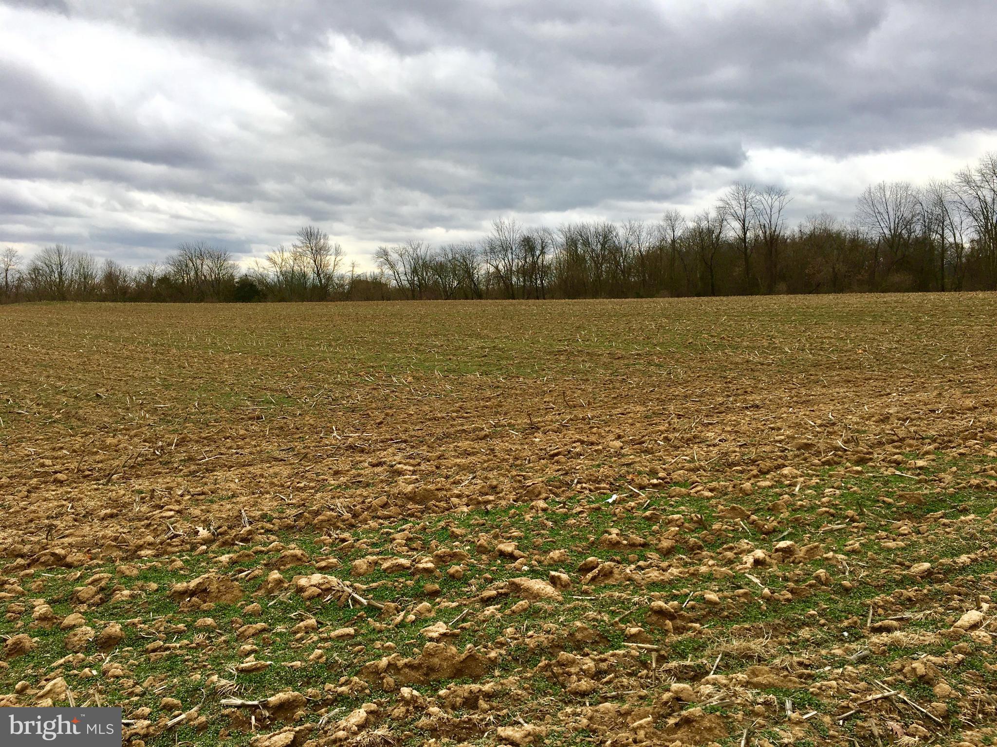 0 Loop Road Chambersburg, PA 17202 - Photo 1 of 3 a view of lake