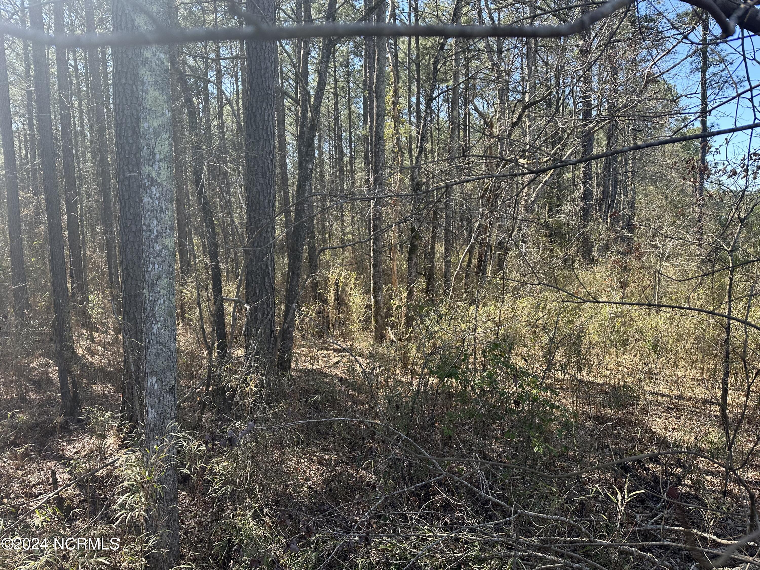 319 Water Swamp Road Sunbury, NC 27979 - Photo 42 of 44 property line