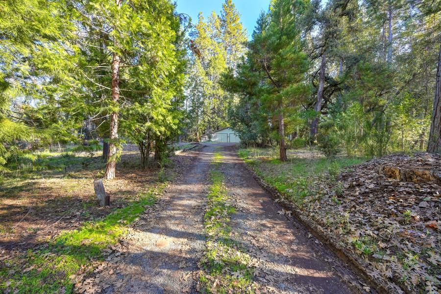 26070 Green Acres Road Colfax, CA 95713 - Photo 36 of 42